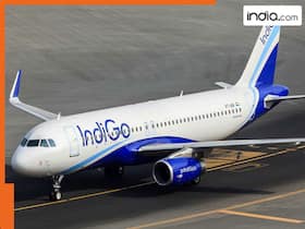 india.com top news