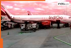 india.com top news