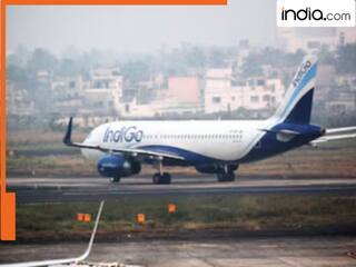 सुबह है Indigo की फ्लाइट? एयरपोर्ट के लिए निकलने से पहले चेक कर लें स्टेटस, 200 उड़ानें हो चुकी कैंसिल
