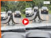 Wild Animal Video: बीच सड़क पर रोमांस करने लगे कोमोडो ड्रैगन, गाड़ियों की आवाजाही भी कर दी बंद | देखें वीडियो
