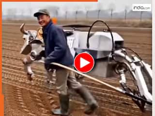 Viral Video Today: चीन के किसान ने मिनटों में जोत दिया पूरा खेत, रोबोट बैल की स्पीड देखकर हिल गए लोग | देखें वीडियो