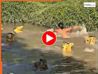 Funny Video: मगरमच्छ बनकर तालाब में घुस गए लड़के, फिर नहा रहे शख्स के साथ जो किया आंखें फटी रह जाएंगी | देखिए