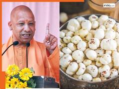 बिहार और असम ही नहीं UP में भी होगी अब इस हेल्दी फसल की खेती, सरकार ने शुरू की नई योजना
