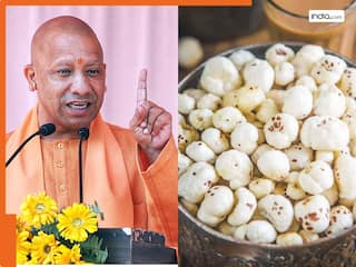 बिहार और असम ही नहीं UP में भी होगी अब इस हेल्दी फसल की खेती, सरकार ने शुरू की नई योजना