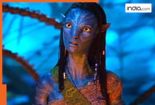 Avatar: Fire and Ash Box Office Collections Day 2: James Cameron’s epic sees modest growth, earns only Rs..