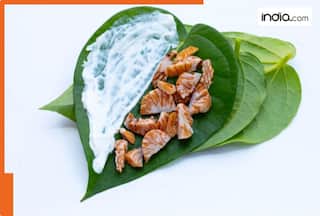 Ambanis, Kapoors, Bachchans are crazy for this paan shop in Delhi; name is...