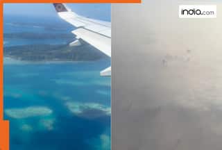 WATCH: Video of Delhi amid thick smog goes viral, claims '800+ AQI', people say, 'can smell pollution...'