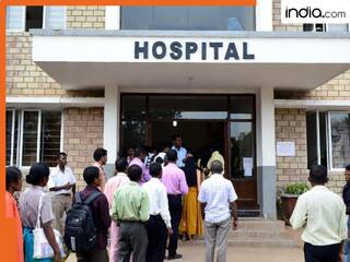 यूपी में दही का रायता खाने वाले 200 लोगों ने लगवाया रेबीज का टीका, भैंस को कुत्ते ने काटा था, मची अफरा-तफरी, जानें पूरा मामला