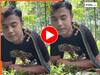 Sanp Ka Video: सांप के साथ खतरनाक खेल! शख्स ने पहले बनाई चोटी, फिर जो किया उसने उड़ा दिए होश | देखें वीडियो
