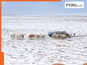 india.com top news