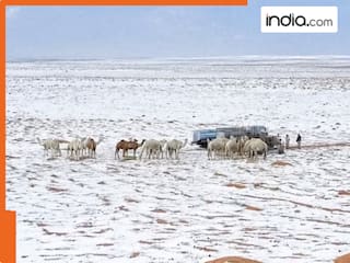 कुदरत का करिश्मा! सऊदी के रेगिस्तान ने ओढ़ी बर्फ की सफेद चादर, जानें क्यों अचानक हुई बर्फबारी