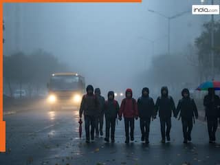 School Closed: नोएडा-गाजियाबाद में कड़ाके की ठंड के चलते सभी स्कूल-कॉलेज बंद, इस दिन तक रहेंगी छुट्टियां