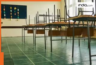 Schools CLOSED in Delhi-NCR, UP today? IMD issues alert for...