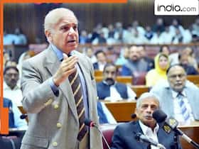 india.com top news