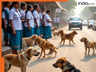दिल्ली में स्कूली टीचर अब 'आवारा कुत्तों की गिनती' भी करेंगे, सरकार ने दिया नया काम, बताया- 'टॉप प्रायोरिटी'