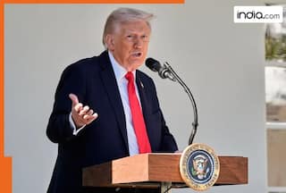 'You will be punished...': Amid H-1B visa interview cancellations and delays, US Embassy issues fresh warning, states Trump admin is...