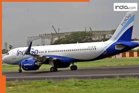 india.com top news