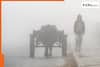 IMD Weather update today: Dense to very dense fog conditions likely to continue in Uttar Pradesh, Bihar, Haryana, Punjab, yellow alert for…; check Delhi-NCR weather forecast