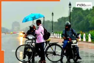 Weather Today: Rain in Delhi? Dense fog blankets NCR to Bihar, IMD issues heavy rainfall alert and cold wave warnings for..., - Check weather forecast
