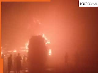 Yamuna Expressway Accident: घना कोहरा बना काल, 8 बसें और 3 कारें भिड़ीं, 25 घायल..  मरने वालों की संख्या 13 तक पहुंची