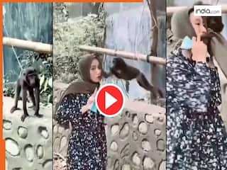 Ladki Ka Video: बंदर के सामने मस्ती कर रही थी लड़की, तभी जो हुआ बेचारी को नानी याद आ गई | देखें वीडियो