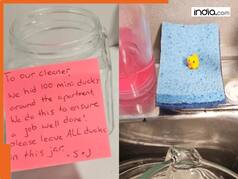Couple hide 100 ducks around home, leave shocking note for cleaner - What happens next sparks outrage