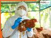 फिर डराने लगा Bird Flu, केरल में सामने आए 11 मामले, जानें लक्षण और बचाव का तरीका