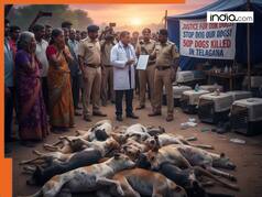 Why at least 500 stray dog were given lethal injection in Telangana? Details