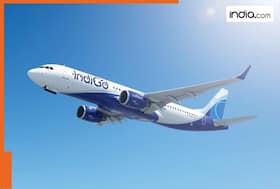 india.com top news