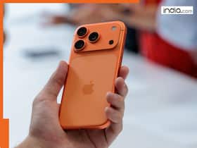 india.com top news