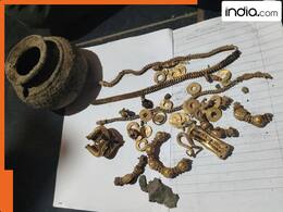 india.com top news