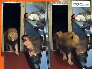 india.com top news