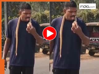 गले से सांप लपेट हीरो बन रहा था शख्स, अचानक हुआ कुछ ऐसा...सीधे पहुंच गया अस्पताल | देखें Video