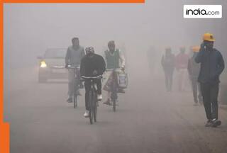 Freezing cold causes temperature to drop to -3.4 C in Fatehpur, Rajasthan