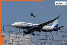 Indigo Airlines to get tough competition as government approves two new airlines