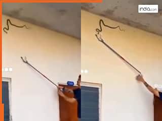 Sanp Ka Video:  सांप पकड़ने के लिए घरवालों ने बुलाया स्नेक कैचर, मगर खुद आफत में पड़ गया बेचारा | देखें वीडियो