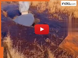 Shocking Video: सिर्फ व्यूज के लिए दलदल में कूद गया इंफ्लूएंसर, फिर 50 सेकंड में जो हुआ रोंगटे खड़े हो जाएंगे | देखें वीडियो