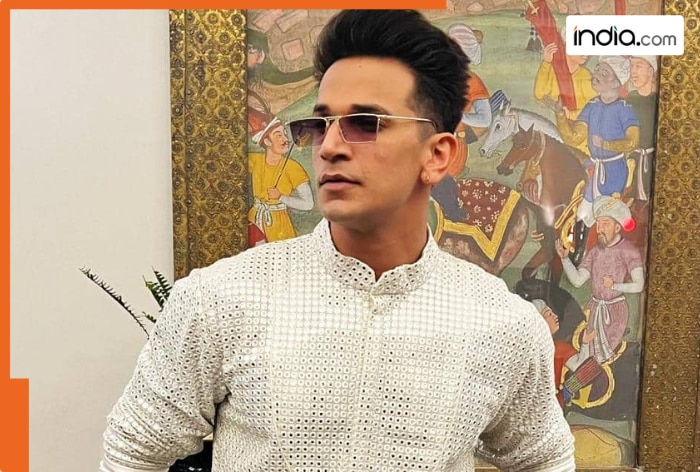 Is Roadies fame Prince Narula's arrest in the Delhi mosque demolition case, real or fake? Here's the actual truth