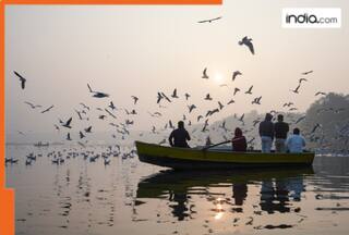 Delhi NCR good news: National capital to get luxury Yamuna cruise from this date, check details here