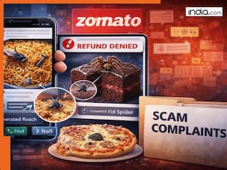 Zomato CEO Deepinder Goyal exposes rising refund fraud via AI-generated insects and smashed cakes