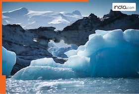 india.com top news