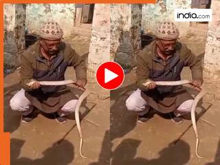 सांप को पकड़ रील बनाना पड़ा भारी, शख्स की चली गई जान;  Video देख सहमे लोग