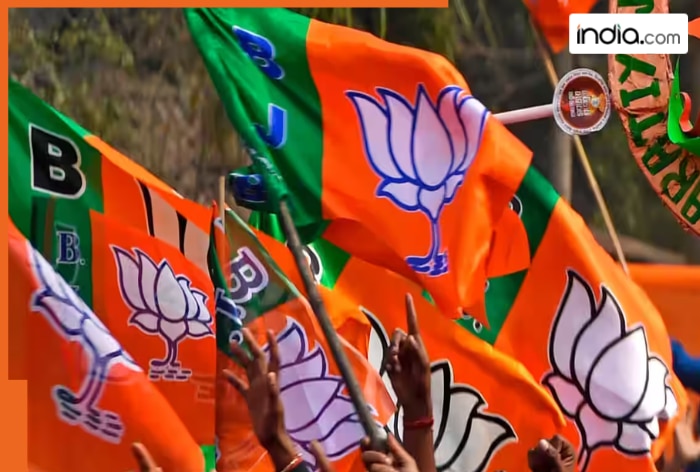 Nashik Municipal Election Results 2026 WINNERS LIST: Full list of Winning Candidates from BJP, Dhule, Jalgaon, Malegaon ward-wise results