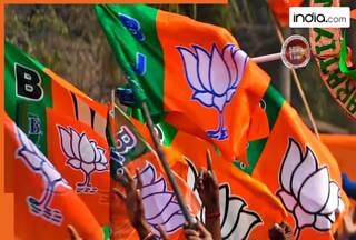 Nashik Municipal Election Results 2026 WINNERS LIST: Full list of Winning Candidates from BJP, Dhule, Jalgaon, Malegaon ward-wise results