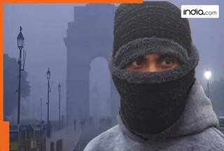 Delhi Pollution: Air quality remains 'very poor', IMD issues rain warning