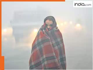 उत्तर भारत में सर्दी का कहर: IMD ने जारी किया कोल्ड वेव अलर्ट, पंजाब से राजस्थान तक कंपकंपाने की चेतावनी