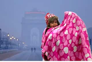 Weather Warning: 0 C in Delhi? IMD issues yellow alert; cold wave grips Punjab, Haryana, Rajasthan, snowfall in hilly states — Check forecast