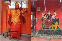 VIRAL VIDEO: Dog performs parikrama of Hanuman idol for '36 hours', then Maa Durga and then..., veterinarians say...