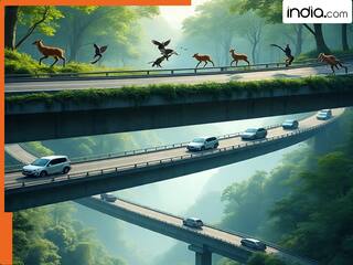 GOOD News: 2026 के इस महीने में खुलेगा दिल्ली-देहरादून एक्सप्रेसवे, ढाई घंटे में पहुंच जाएंगे दिल्ली से देहरादून