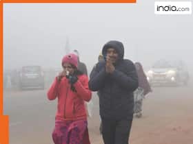 india.com top news